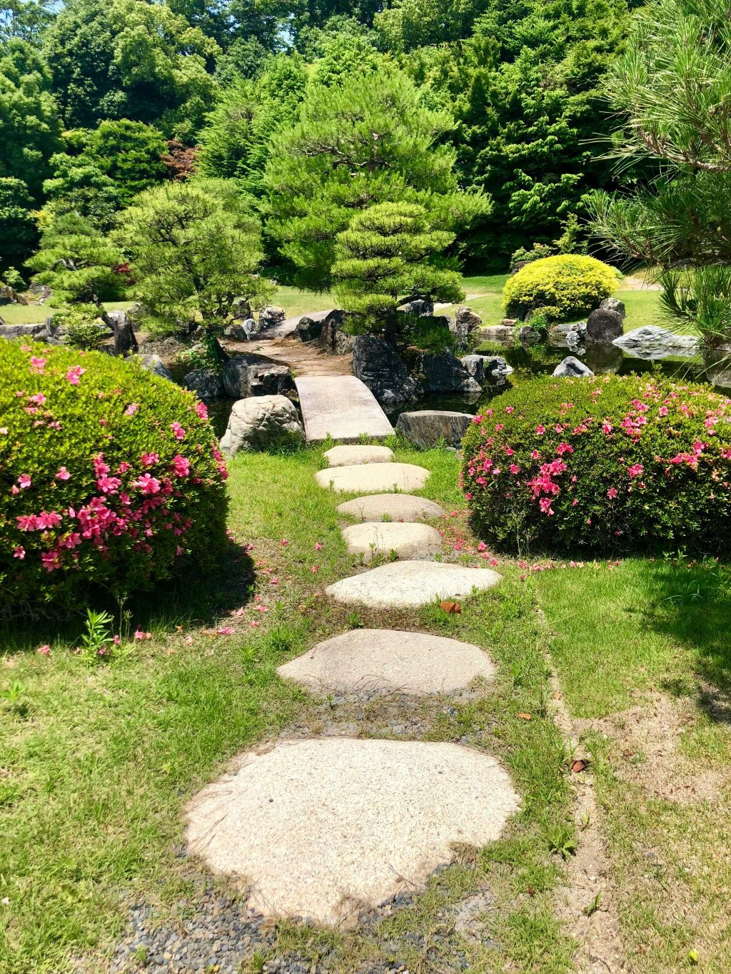 松本邸 剪定